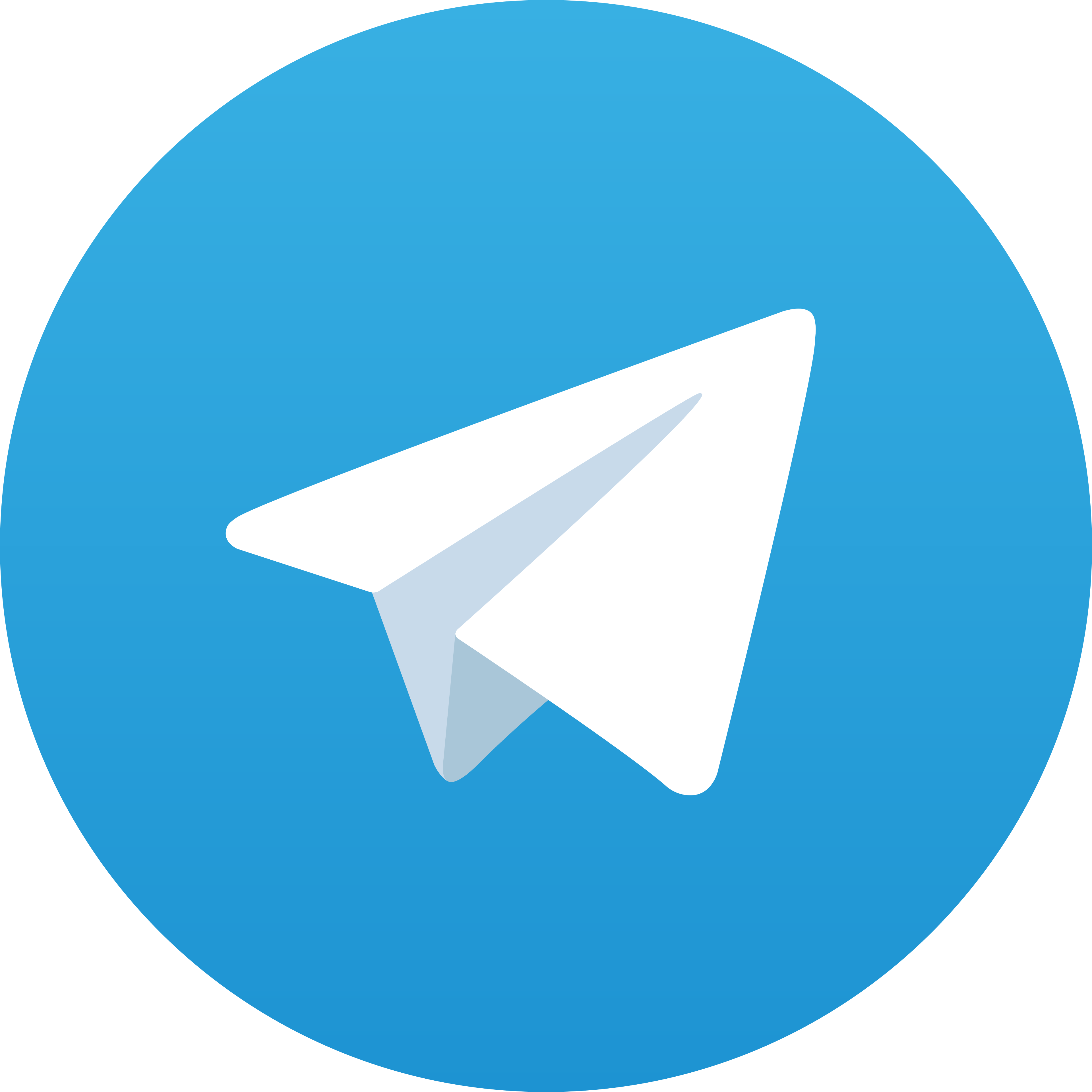 Telegram Mpp4D